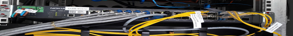 Cisco router modul