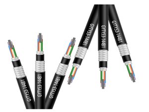 GYTY53 Armored Cable fiber optic ycict
