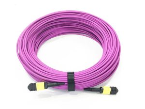 MPO Trunk Cable price and specs ycict