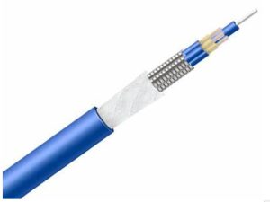 GJASFKV Armored Cable Indoor multi-core armored cable ycict