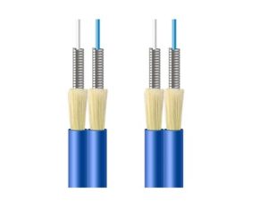 GJSFJV Fiber Cable Indoor Armoured Fiber Optic Cable ycict